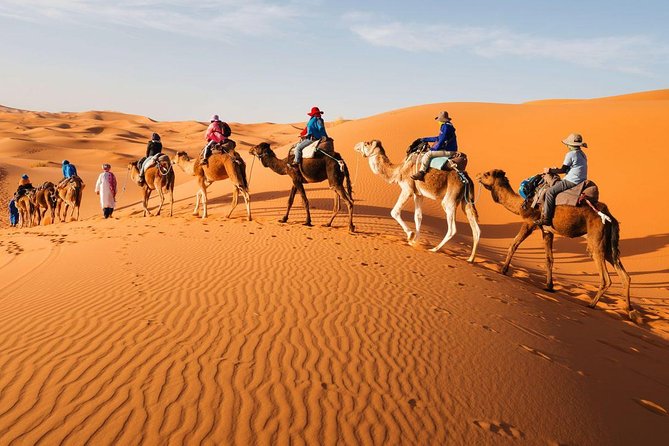 Sahara Desert, Morocco - Stars and Silence in the Desert
