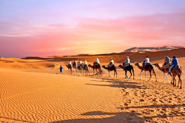 Sahara Desert, Morocco - Stars and Silence in the Desert